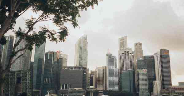 公司宣传片图制作软件