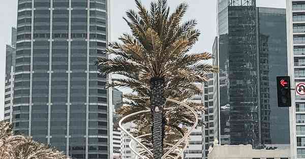 短视频宣传片制作排名_短视频宣传片制作