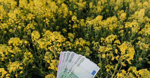 美国大片免费40分钟以上