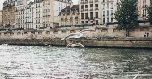 宣传片制作专业公司_宣传片制作专业团队