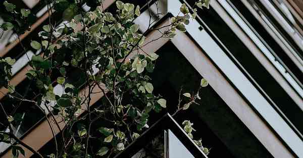 地产宣传片制作咨询公司