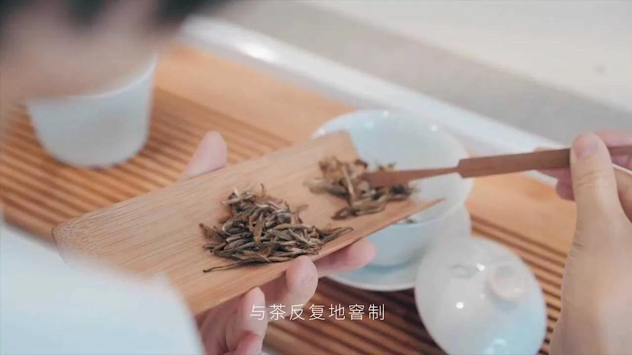 十八野茶室纪录片